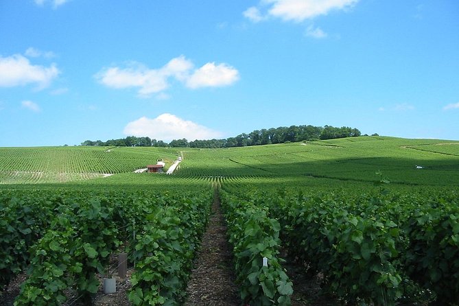 Private Champagne Tour and Reims From Paris With Hotel Pick up - Good To Know
