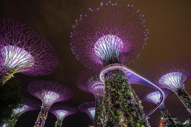 Treasures of Singapore: Gardens by the Bay Private Tour - Good To Know