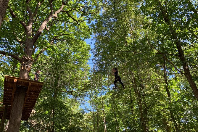 Tree Top Adventure in Forest of Meudon - Good To Know