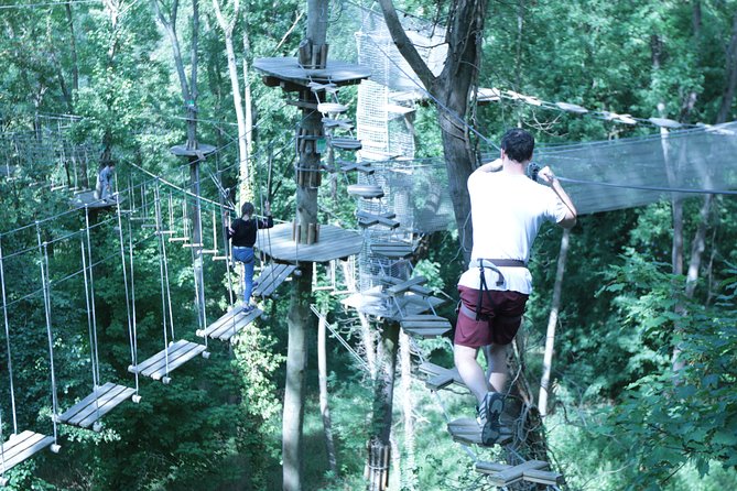 Tree Top Adventure in Rueil-Malmaison - Good To Know