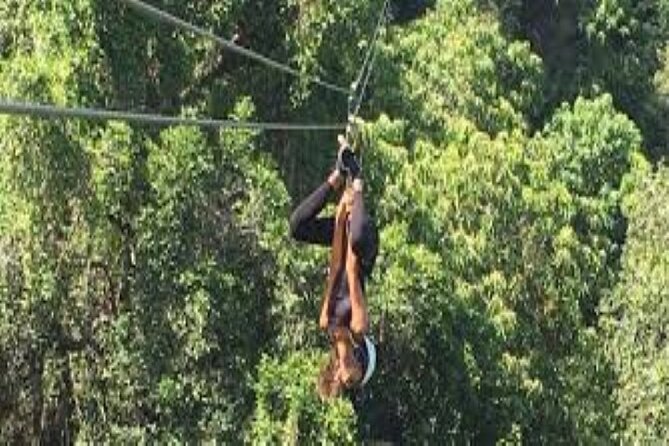Treetops Zipline & Cave Tour From Coral Coast Hotels With Lunch