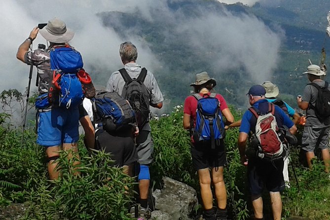 Trekking and Picnic in The Tea Plantation From Ella, Haputale & Bandarawela - Good To Know