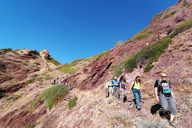 Trekking Tour Nebida Masua and Porto Flavia - Good To Know
