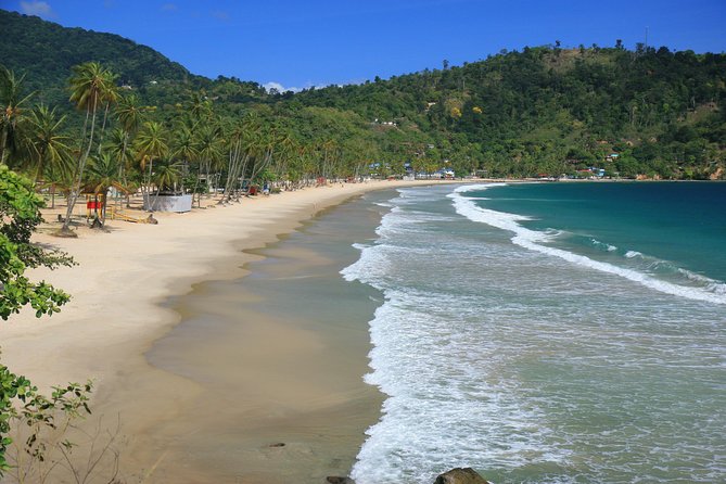 Trinidad Northern Eco-Cultural Full-Day Highlights Tour From Port of Spain