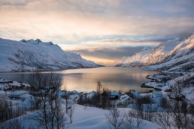 Tromsø Fjords and Islands Road Trip With 8 Seats Minivan - Good To Know