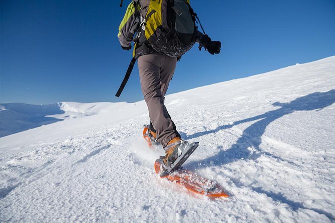 Tromso Guided Snowshoe Trip - Good To Know
