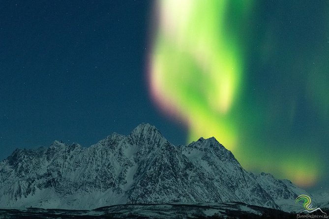 Tromso Private Aurora Photography Adventure With Dinner - Good To Know