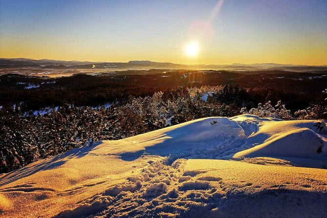 Trondheim Forest Sledding and Tram Tour - Good To Know