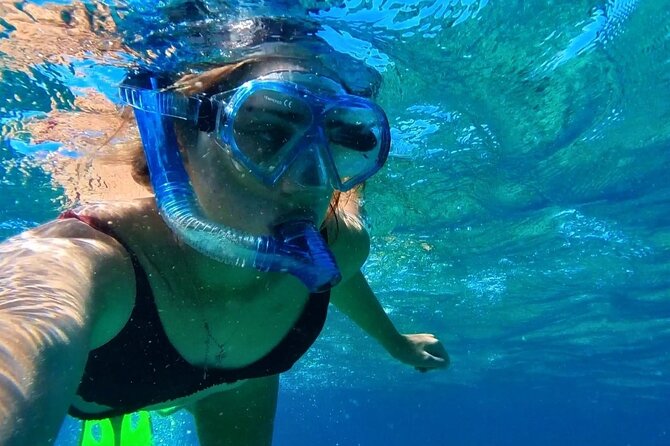 Tropical Dunk Island Half Day Activity in Queensland - Pricing and Booking Details