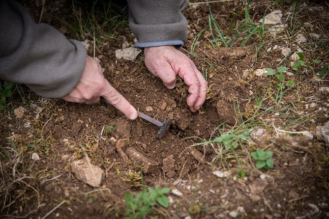 Truffle Hunting and Tasting Experience  – Beaune