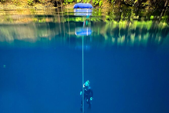 Try Freediving in a Cenote Nearby Cancun (Private Group) - Good To Know