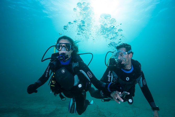 Try Scuba Diving Experience: Sydney
