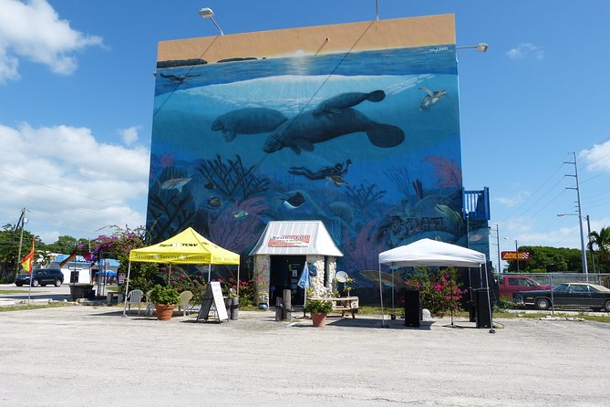 6 Best Scuba Diving Experiences In Key Largo