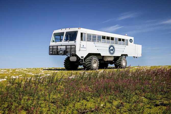 2 Best Tours In Churchill