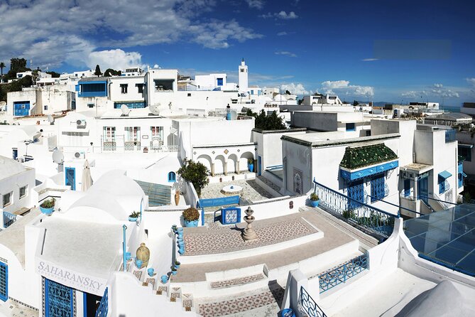 Tunis: Carthage, Bardo Museum, Sidi Bou Said and Medina Day Tour - Good To Know
