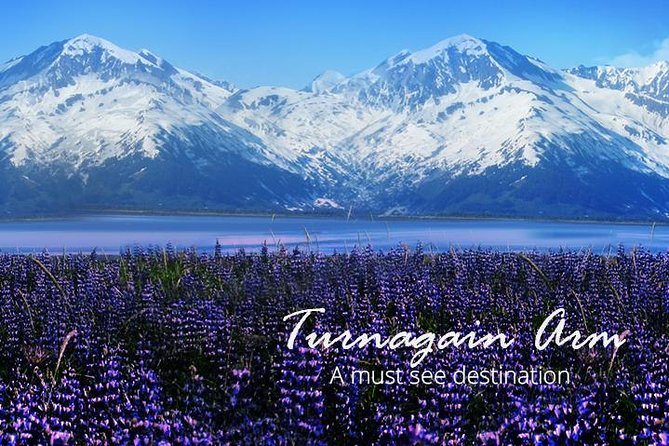 Turnagain Arm Tour: “A Must See Destination”