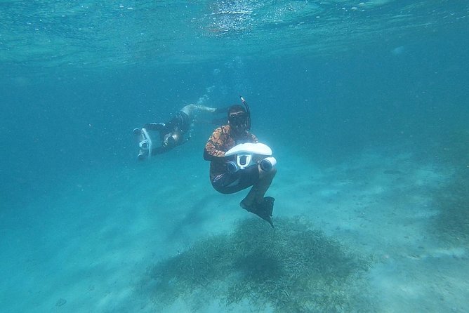 Turtle Spotting Snorkeling Adventure- No Jets