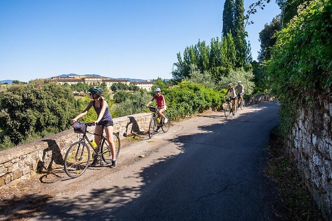 Tuscan Country Bike Tour From Florence, Including Wine and Olive Oil Tastings
