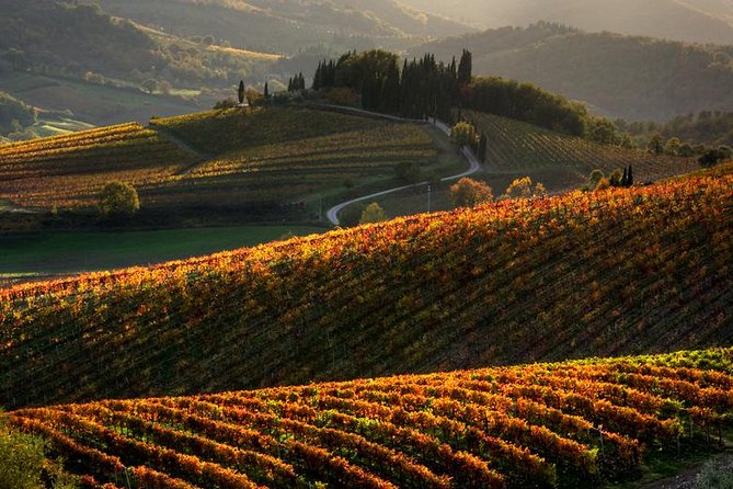 Tuscany Hiking Tour From Siena Including Wine Tasting - Good To Know