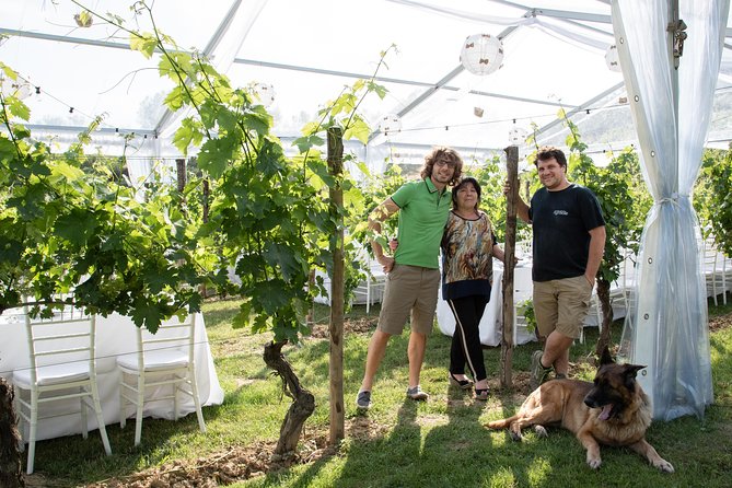 Tuscany Wine Tours in a Family Winery Podere Pellicciano