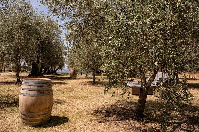 Tuscany Winery Lunch Plus Pottery Class or Horseback Riding  - Florence - Winemaking Family Experience