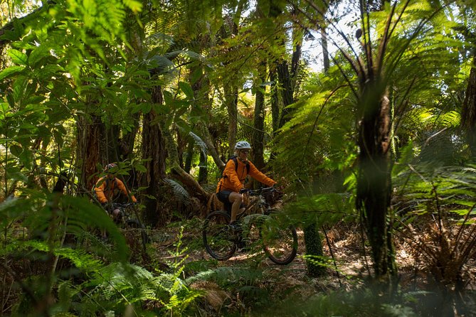 Two Day Bike Hire in Ongarue - Good To Know