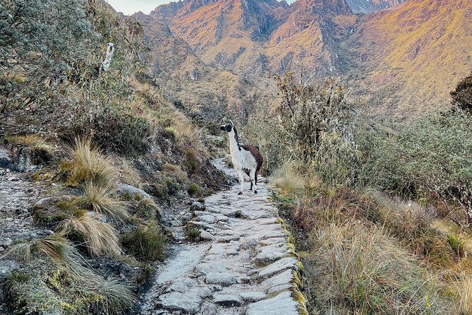 Two Day Short Inca Trail to Machu Picchu - Inca Trail Experience: What to Expect