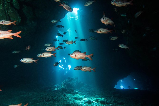 Two Tank Lanai Certified Diving Adventure From Lahaina - Good To Know