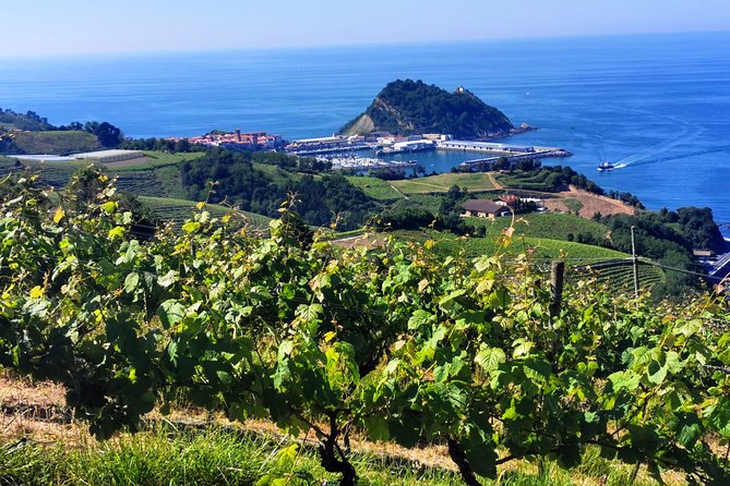 TXAKOLI Vineyards HIKE, ZUMAIA and GETARIA – Private Outdoor & Gastronomic Tour