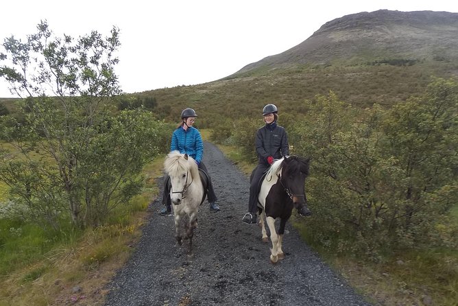 Ulfarsfell Mountain Private Horse-Riding Tour From Reykjavik - Good To Know