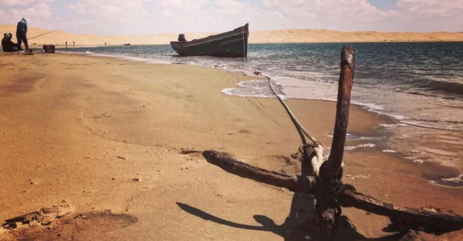 Unique: Fishing in Sahara Bird Watching 5Days 4Ns Road Trip - Good To Know