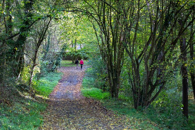 Unveiling the Treasures of Mons Walking Adventure