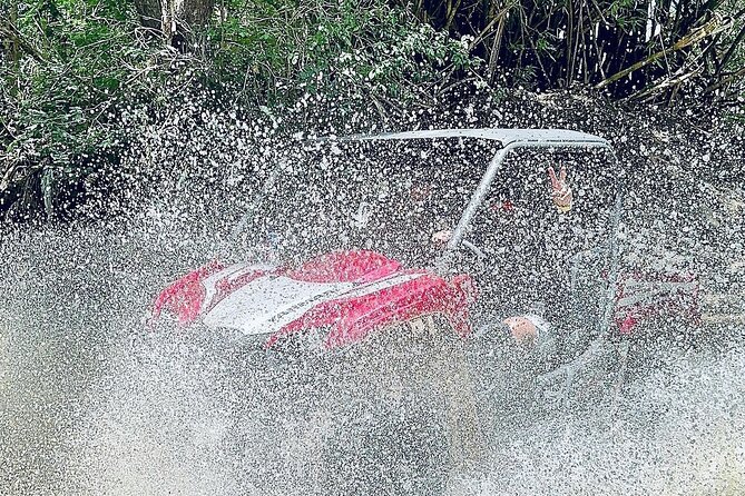 UTV Adventure in Naguabo Puerto Rico 50 Minutes Trip 80 Acres - Good To Know