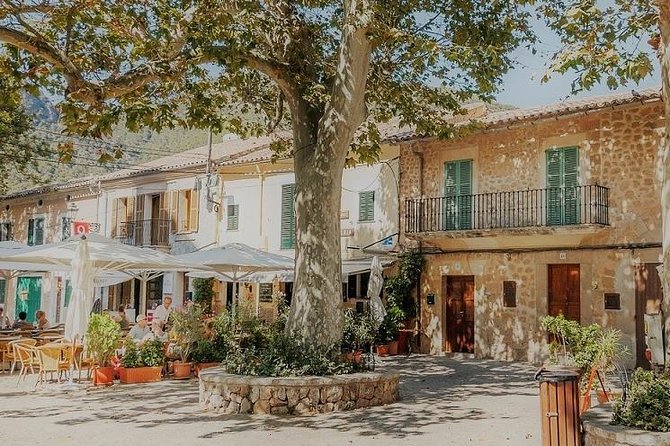 Valdemossa Half Day Tour - Good To Know