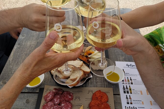 Valencia Wine-Themed Guided Tour - Good To Know