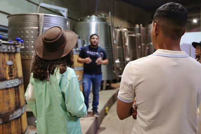 Valle De Guadalupe Wine Tasting Tour  - Ensenada - Good To Know