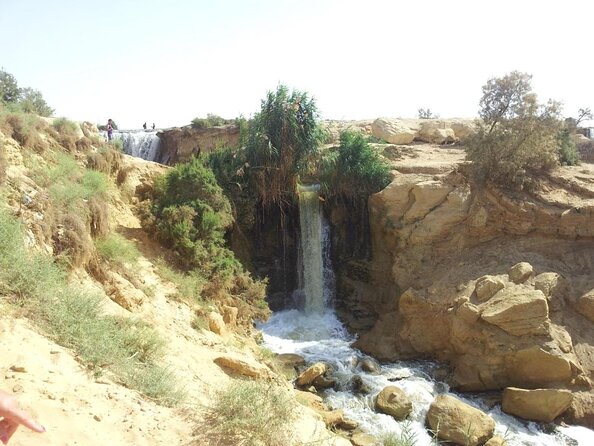 Valley of Whales and Wadi El Rayan Water Falls Day Tour From Cairo