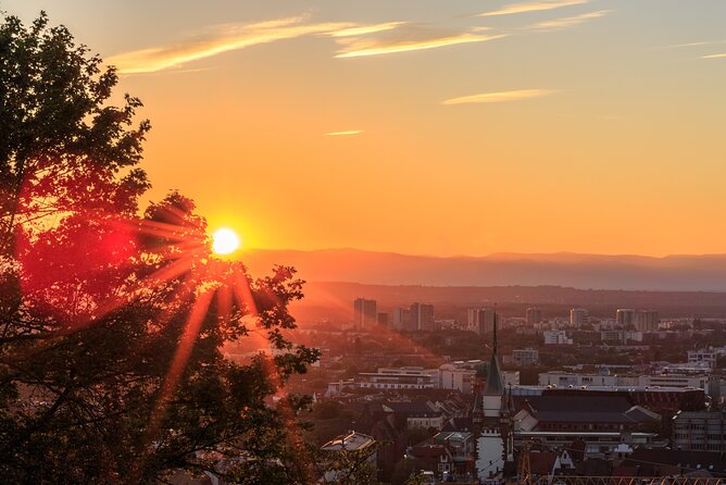 Veni Vidi Vino - the Freiburg Wine Hike - Wine Tasting Experiences Along the Trail