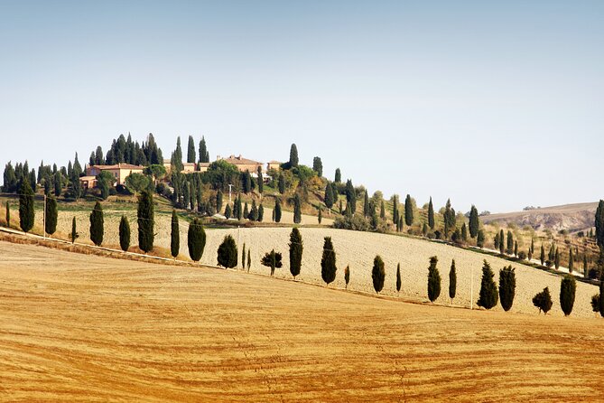 Vespa Tour With Lunch&Chianti Winery From Siena - Good To Know