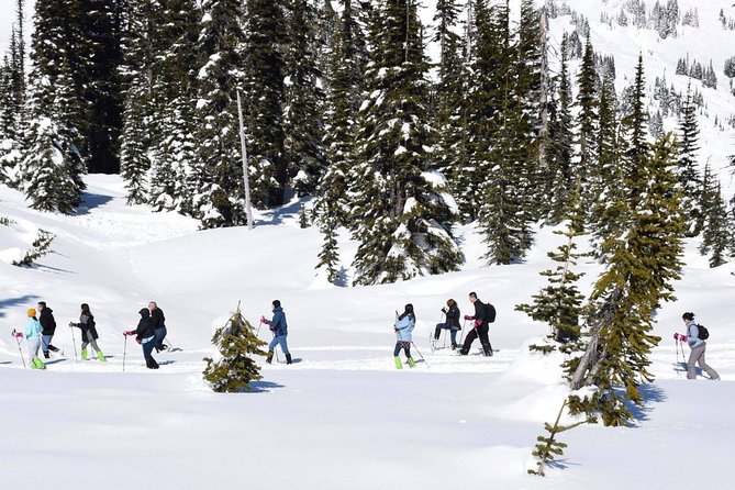 Viator Exclusive Tour - Mt. Rainier Day Trip From Seattle - Tour Overview and Details