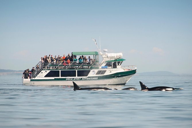 Victoria Whale Watching Tour on a Covered Vessel