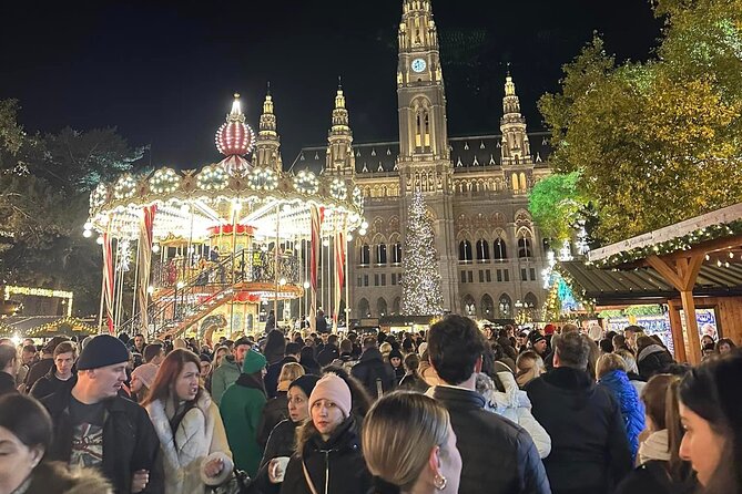 Vienna Christmas Market Tour With Local Guide (Private Tour)
