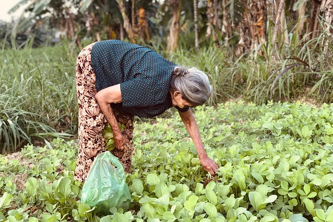 Vietnamese Rural Life Experience - Good To Know