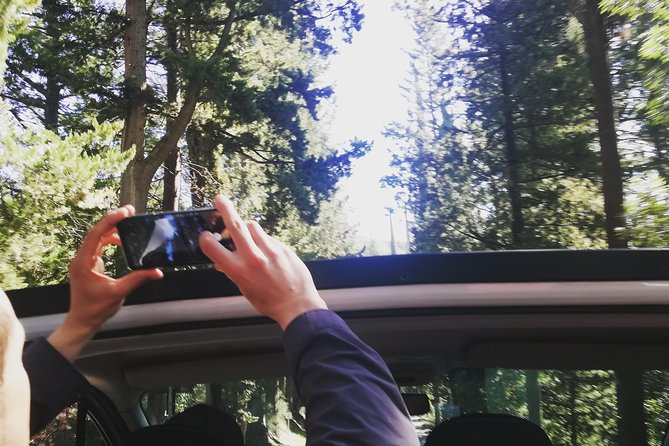 Villages of Chianti With Lunch and Tasting in Open Top Van - Pricing and Value