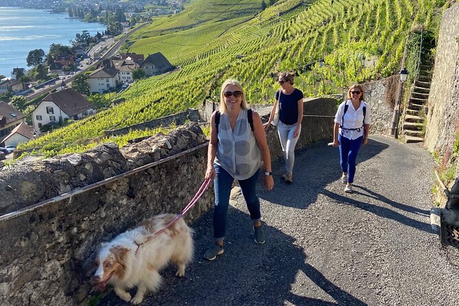Vine Stories: Lavaux & Lutry Wine Walk - Good To Know