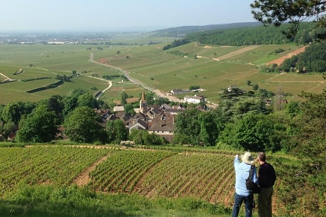 3 Best Wine Tours In Aloxe Corton
