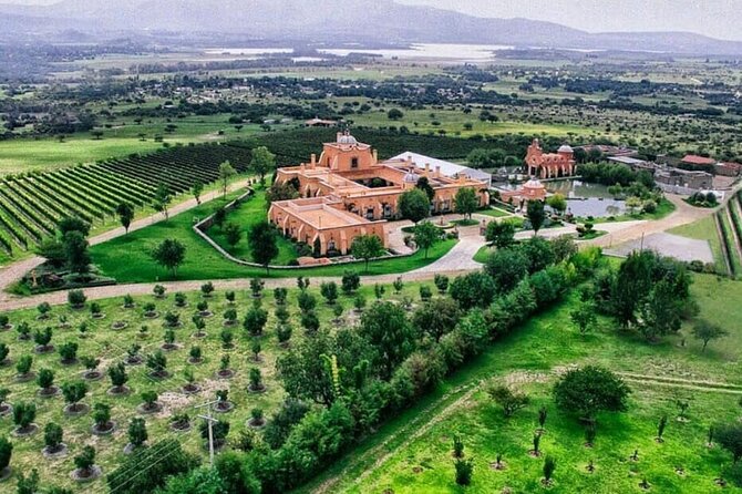 Vineyard, Tour, Tasting and Fun in San Miguel De Allende - Good To Know