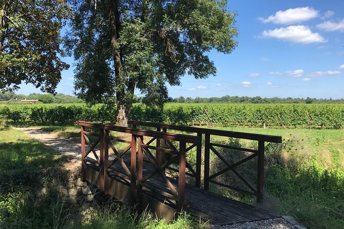 Vineyard Tour
