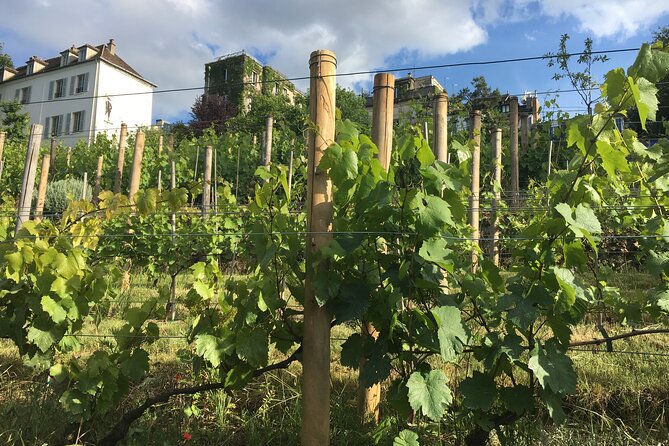 Vineyard Visit and Wine Tasting in Clos Montmartre - Tour Duration and Languages