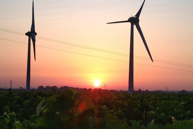 Vineyard Walk in the Garrigue - Location: Luc-sur-Orbieu